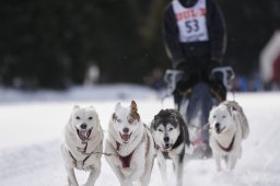 Lenzerheide 2013